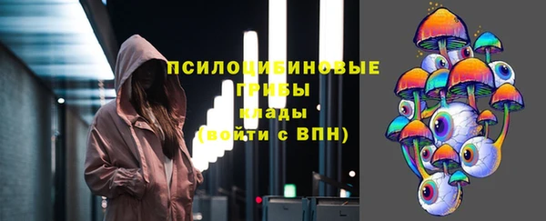 спайс Баксан