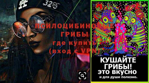 спайс Баксан