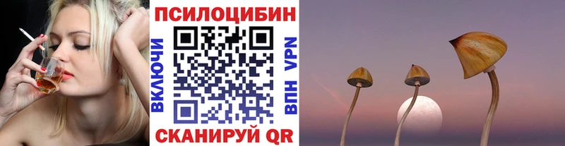 Купить закладки  Барыш  Псилоцибиновые грибы Psilocybe 